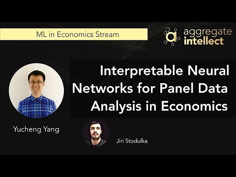 Interpretable Neural Networks for Panel Data Analysis in Economics | AISC