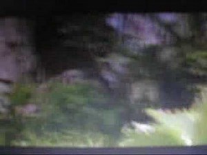 The Phantom - The Skull Cave/The Phantoms Gift