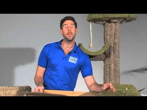 Fat to Fit Cat Exercises