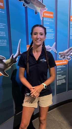 Have you ever wondered what a day in the life of an aquarist is like? 🐠 Follow along with Nicole, one of our Senior Animal Care Specialists, as she transports rooster hogfish, cleans exhibits, preps food, and serves up breakfast to the animals in our Caribeean Reef and Great Barrier Reef exhibits! 🤩👏