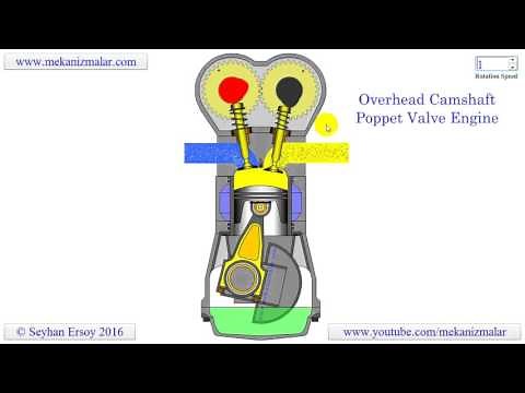 overhead camshaft poppet valve engine