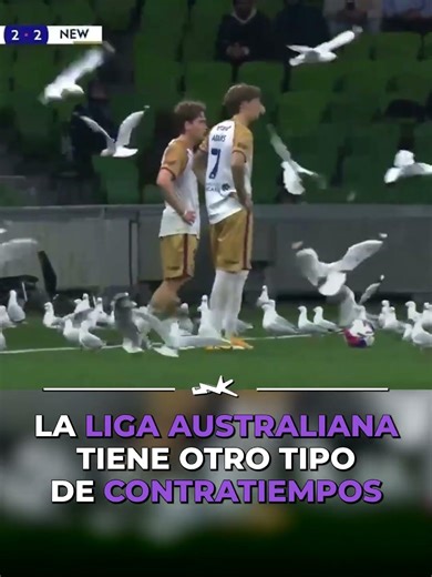 La LIGA AUSTRALIANA tiene otro tipo de CONTRATIEMPOS