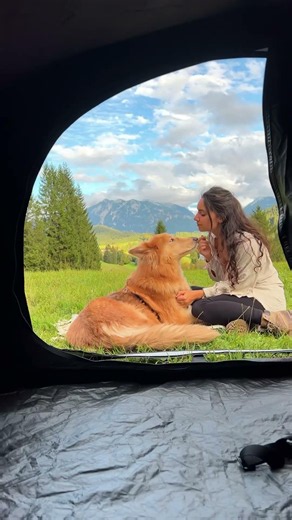 2 seconds tent set up with your best friend ⛺️🐾 #quechua #tent #tutorial #camping #dog