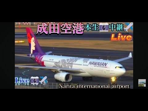 【2026/01/03 ❶】着陸🛬多し‼️B.滑走路【Lot of Landings 🛬】✈️成田空港 🛬本生📸中継 ライブ配信 【✈️Narita international airport