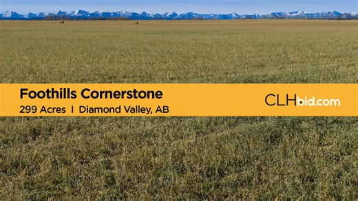 299 acres selling as 2 Parcels located immediately south of Diamond Valley, a town in the Calgary Metropolitan Region of Alberta. Located 1.5 miles apart, these Parcels offer open acres and stunning scenery in the gently sloping foothills that extend east from the Rocky Mountains. Learn More: https://www.clhbid.com/auctions/foothills-cornerstone/ Selling Online February 11, 2026 From 9 - 10 AM MST 📍 Foothills Cornerstone 🪧 299 Acres For Sale - 2 Parcels 📫 Diamond Valley, AB 🌾 Premium Foothil