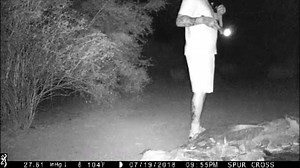 21K views · 134 reactions | Do you recognize these people? They stole poisonous toads from a park in Cave Creek, Arizona. The bizarre reason they might be collecting them: https://12ne.ws/2JOLOF2 | 12News | Facebook