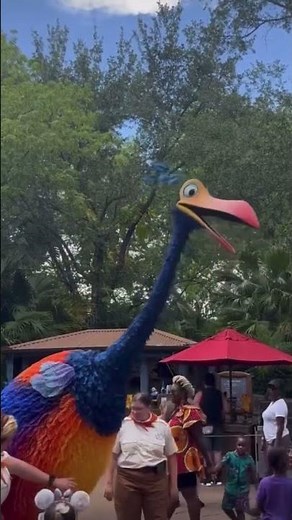 Meet Kevin The Bird From UP 🎈🏠 #shorts