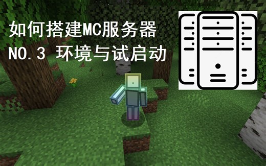 #3 NO.2 运行环境的配置与试启动 | 搭建MC服务器