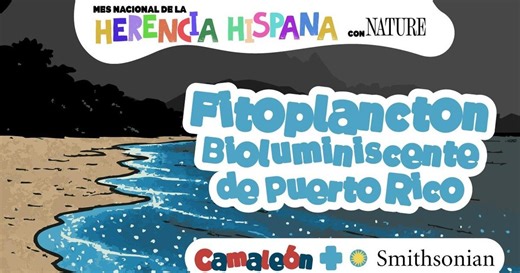 Fitoplancton bioluminiscente de Puerto Rico