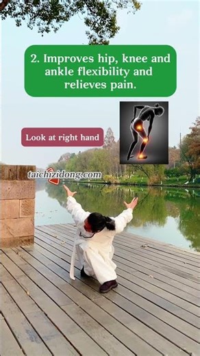 251241-Eagle spreads its wings.