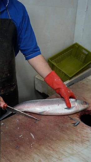 How to Scale, Gut & Cutting Milkfish