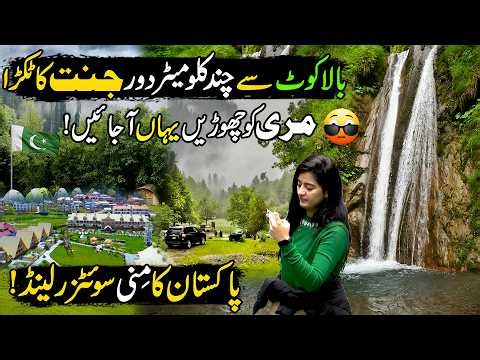 Mini Europe of Pakistan😱| Sharan Valley & Forest ! Pakistan's Magical Place | Amazing Tourist Place