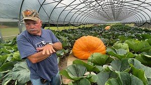 Ohio giant pumpkin farmer grows 1,300-pound pumpkin
