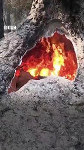 Wildfires are raging across California, apparently sparked by more than 12,000 dry lightning strikes during a heatwave. bbc.in/3gwT34X | BBC News