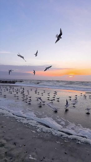 #odesa #mylife #vibes #beachvibes #odessa #ukraine #fyp #fypシ #relax #rek #foryou #reels #agua #hero #foryourpage #nature #loveyou