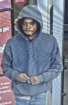 Crime Stoppers: Assault and attempted vehicle theft in Lansing