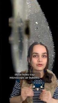 A tiny robot fish powered by sound