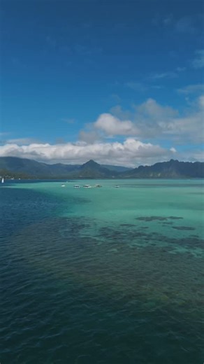 This isn’t just another beach day, this is THE Kaneohe Sandbar experience. 🤙🏼 Picture this: you, your crew, surrounded by nothing but shallow turquoise water and endless blue sky. Swim, float, explore, laugh until your cheeks hurt. It’s the kind of day that reminds you why Hawaii is so special. Bring the ohana, bring your friends. Who’s ready? 🌺🌊 | Kaneohe Bay Ocean Sports