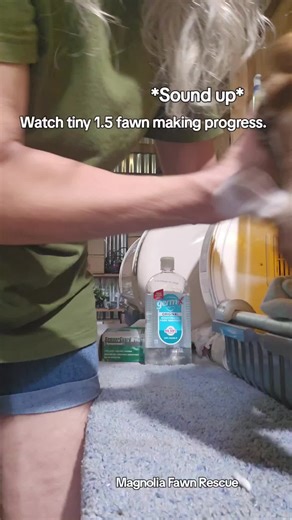 Tiny Fawn Rescue: Saving Orphaned Baby Deer