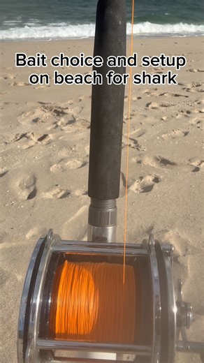 Brandon Barrios on Instagram: "Comment “Wrangler” for shark tips and tricks #fishing #reels #fishinglife #floridafishing #lamdbasedsharkfishing"