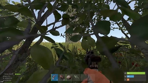 what bush camping does after 1 hour - Clipped Rust with Medal.tv