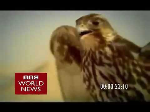 BBC Arabic Countdown