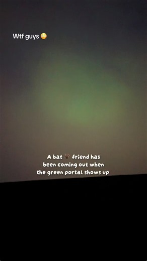 Please tell me….Why is the bat no longer in the last post of the EXACT video?? Am i losing it 😳. This is from my camera roll of the posted video. No changes at all. Nothing