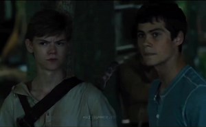 #mazerunner #fy #edit #mazerunneredit #mazerunneredits #foryou #tmr #themazerunneredits #foryoupage #themazerunneredit