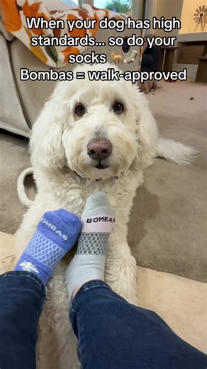 Discover Why Bombas Socks Are Worth Every Penny
