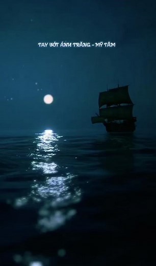 #mytam #alwaysmytam #mytamlive #mysoul1981 #mytamdalat #tayvotanhtrang #nghesi #mytamofficial #triam