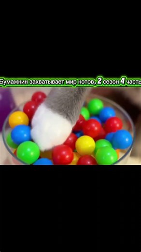 Бумажкин захватывает мир котов, 2 сезон 4 часть #kotynet #kotiynet #котинет