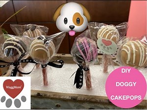 Homemade DIY Dog Cakepop Treats