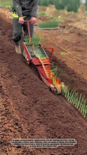 Efficient Manual Paperpot Transplanter in Action!