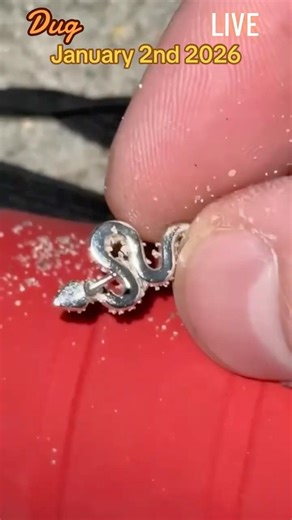 Found Snake Earring! #metaldetecting #rarefinds #shorts