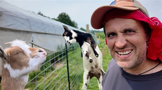 Constructing secure goat pen to prevent animal escapes