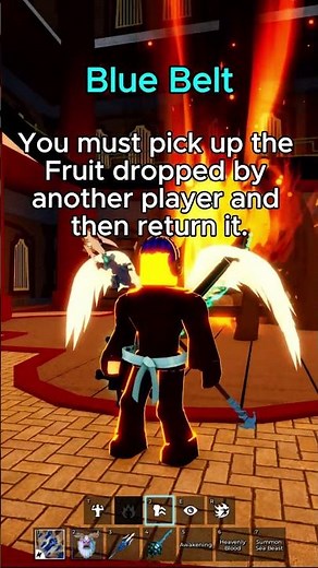 How To Get All Belts in Blox Fruits | Blox Fruits