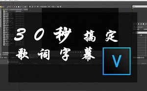 【Vegas教程】学会的话我说30秒加字幕不夸张吧