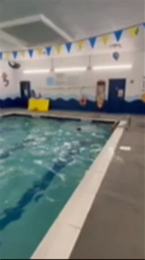 Saf-T-Swim of Riverhead on Instagram: "Watch the safer swimmer’s promise in action"