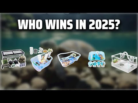The Top 5 Best Turtle Tank Kit in 2025 - Must Watch Before Buying!