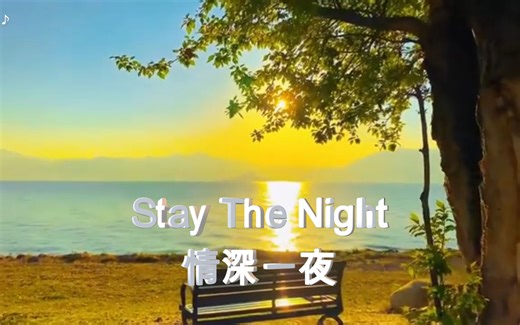 播放量最高的电音《Stay The Night -情深一夜》特别音质 纯音乐MV