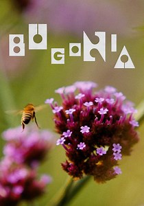 Bugonia - Film: Jetzt online Stream finden und anschauen