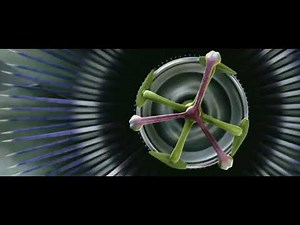 THX Amazing Life (2007) Scope