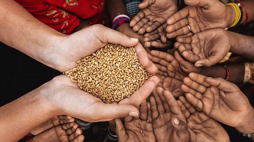 Astro Tips: Donate These 7 Things On Thursday To Attract Success In Career | Herzindagi