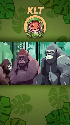 Gorilla Facts! | KLT Wild