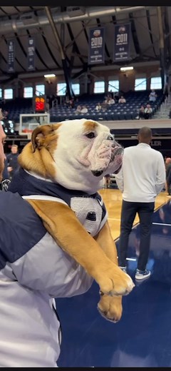 Butler Blue IV on TikTok