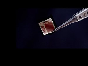 A New Generation of Brain-Computer Interface