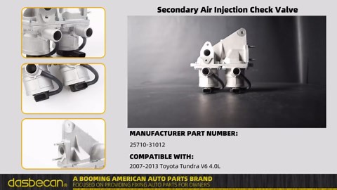Dasbecan Secondary Air Injection Check Valve