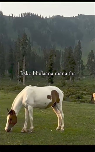 Jisko bhulana mna tha🫠🥰#learnsmart247#neet#viral#songs