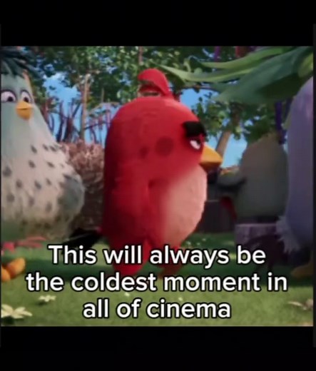 Coldest Moments in Angry Birds Movie