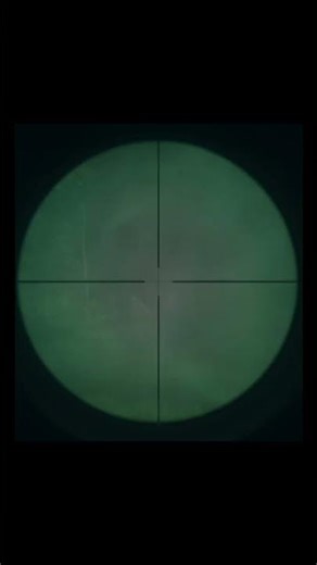 Wow, the moose is so majestic and it's amazing to see it up close!